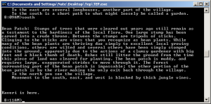 Who needs ASCII art? Who needs ASCII art?